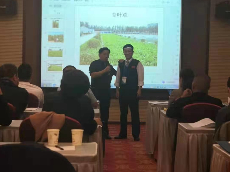 BB漆（悦享装）